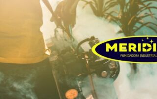 Fumigación de Insectos: Protege Tu Hogar y Salud