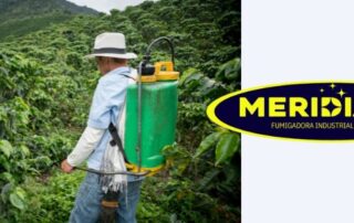 Control de plagas industriales