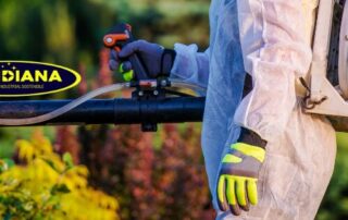 Control de Plagas en Costa Rica: