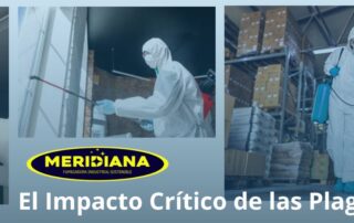 El Enemigo Invisible: El Impacto Crítico de las Plagas