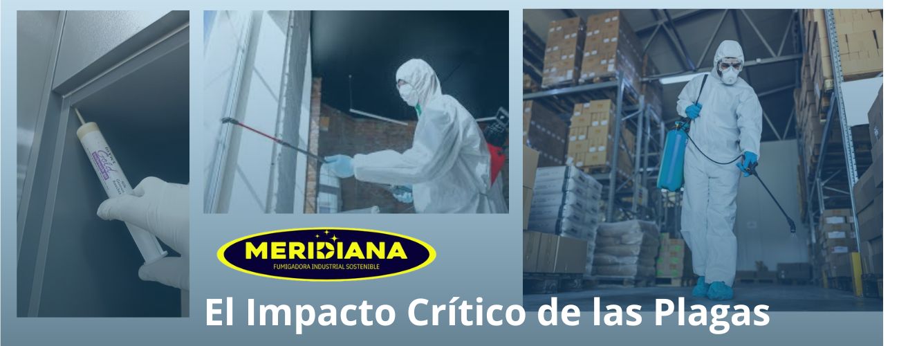 El Enemigo Invisible: El Impacto Crítico de las Plagas