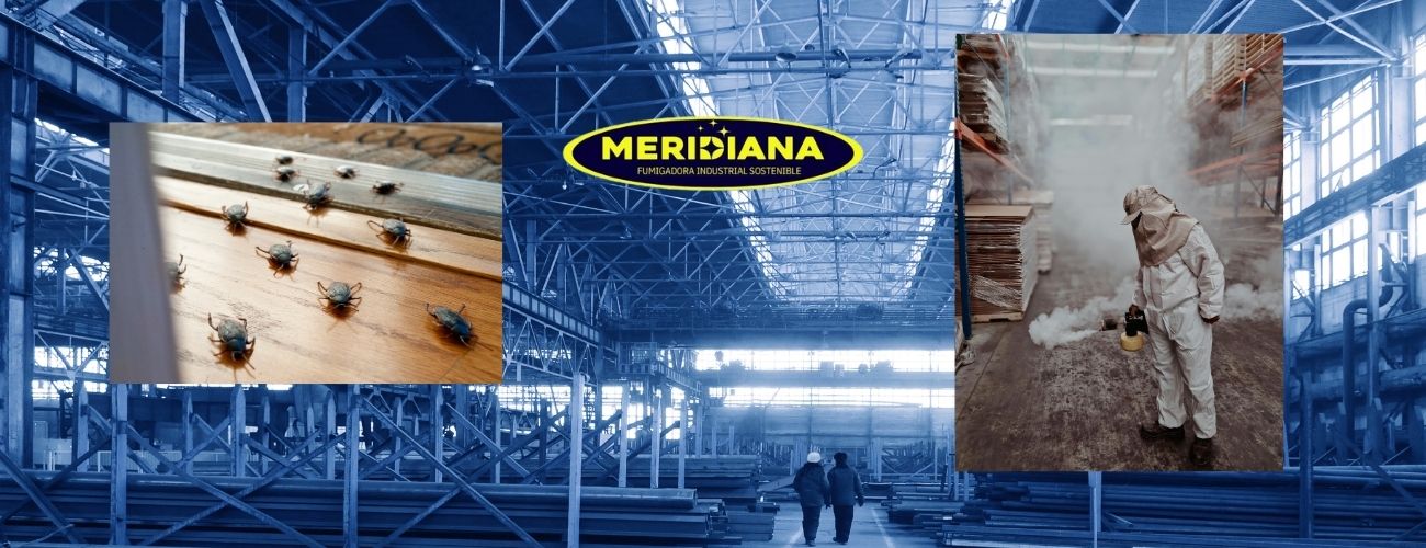 Cero No Conformidades" por plagas en 2026