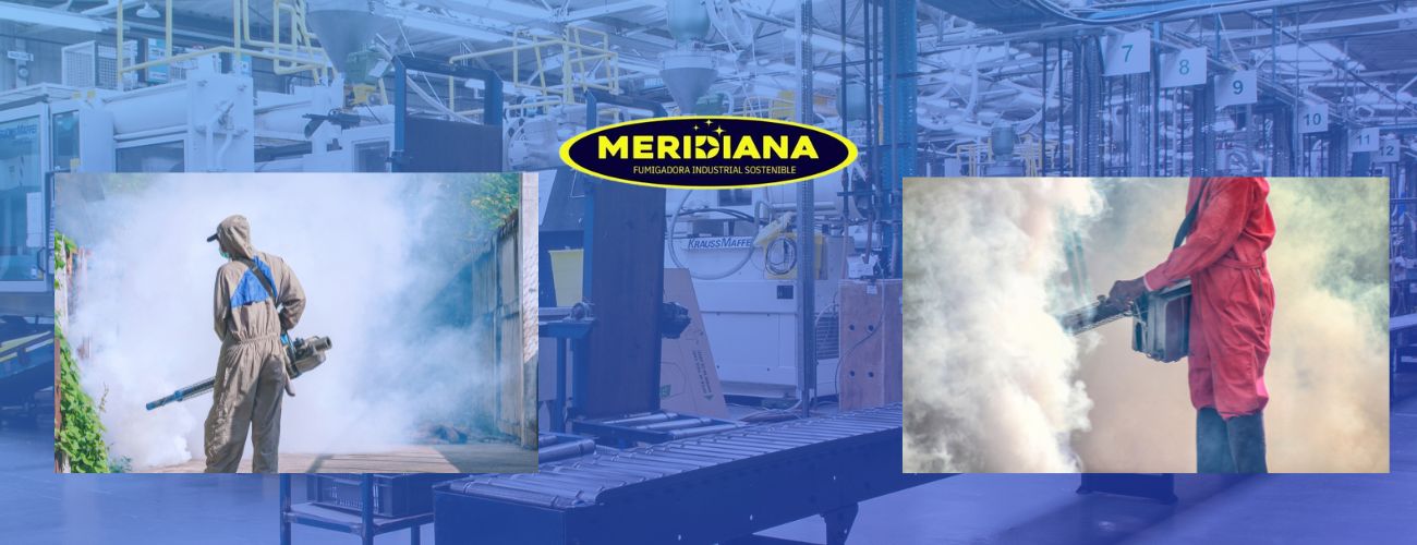 Claves de Control de Plagas para el arranque de año3