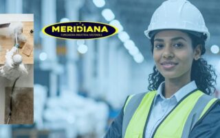 ¿Tu planta pasaría una auditoría hoy Claves de Control