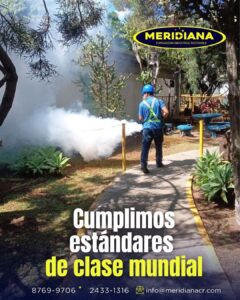 Más allá de la Fumigación Protocolos Estrictos y Estándares Internacionales