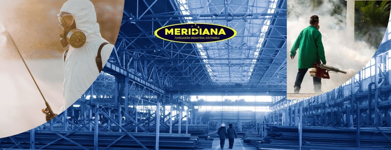 Bandera Azul de Fumigadora Meridiana MIP HACCP e ISO 9001 para Empresas Certificadas