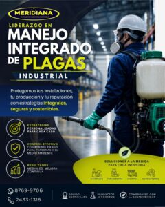 Cómo Meridiana Eleva el Estándar de Control de Plagas para el Sector B2B