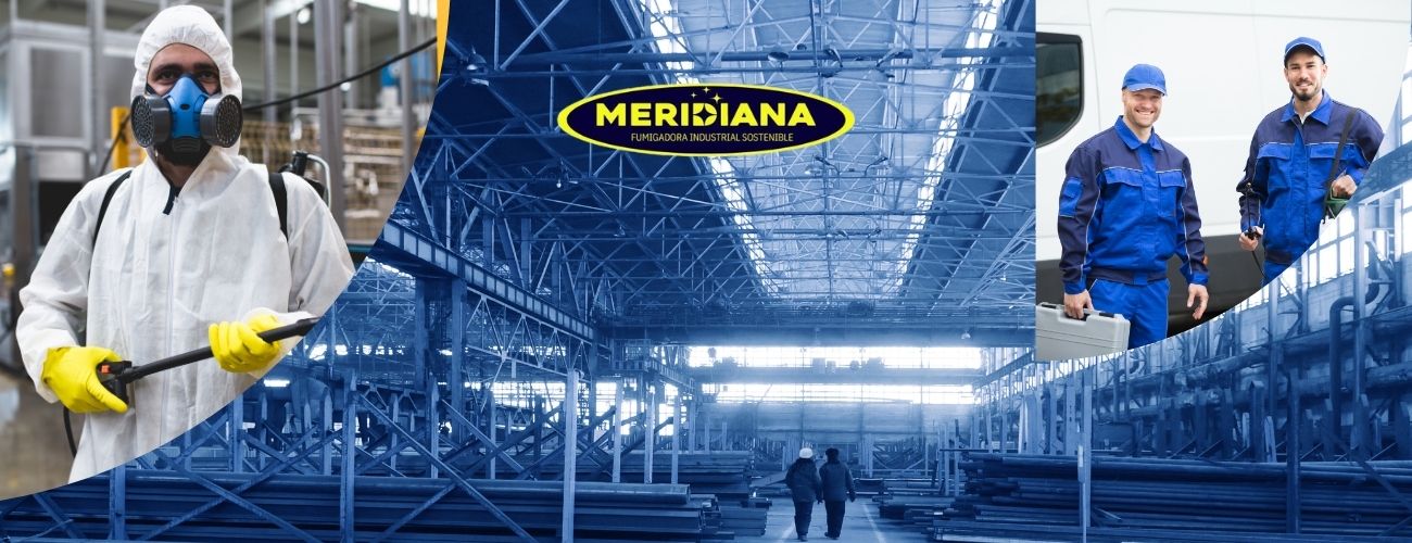 Cómo Meridiana Eleva el Estándar de Control de Plagas para el Sector B2B12