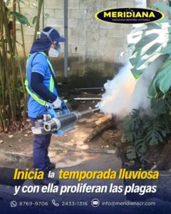Mosquitos en Época de Lluvias Riesgos Críticos para Empresas