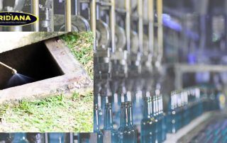 Control de cucarachas guía profesional para empresas e industrias