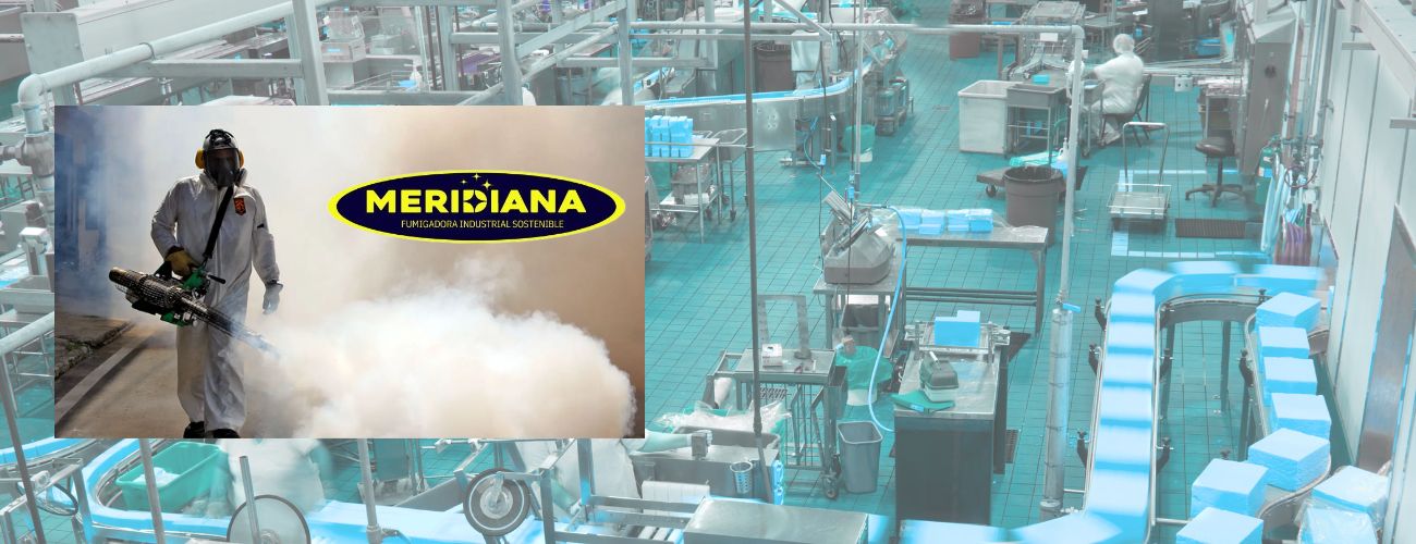 Control de plagas en la industria alimentaria guía completa