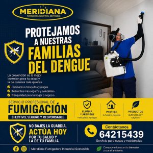 Control profesional de zancudos dengue