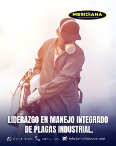 Fumigadora Meridiana CR